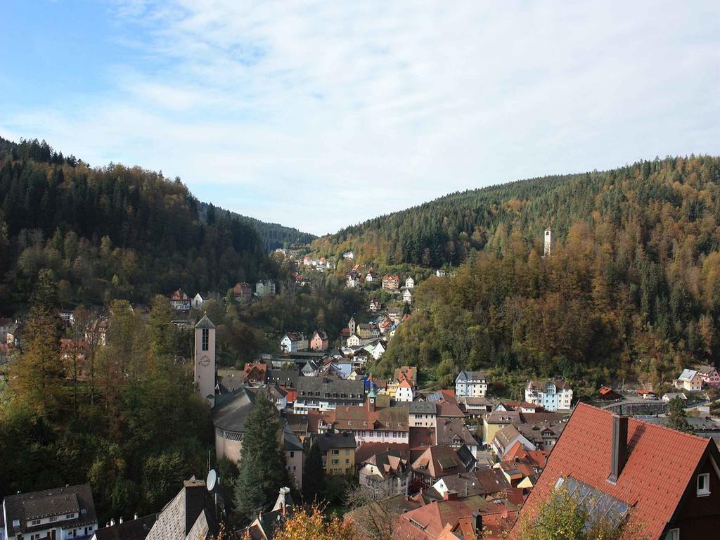 Ferienwohnung King Triberg im Schwarzwald Luaran gambar