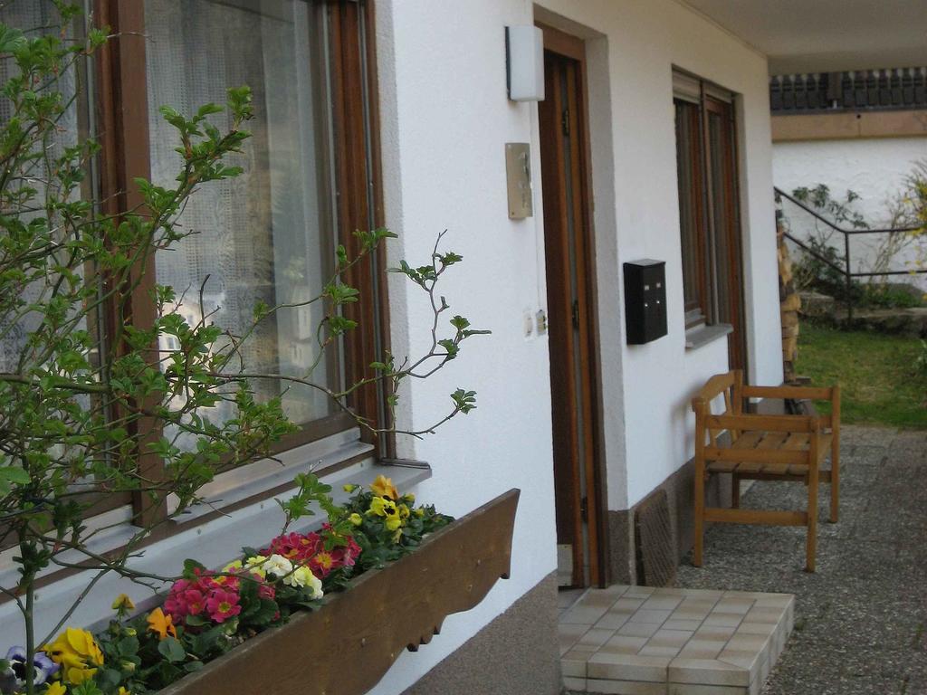 Ferienwohnung King Triberg im Schwarzwald Luaran gambar